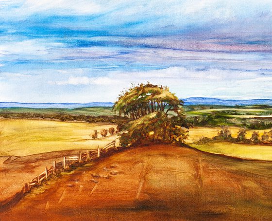 Scottish Countryside View