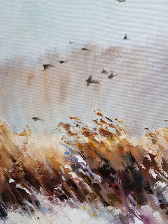 Birds over the field