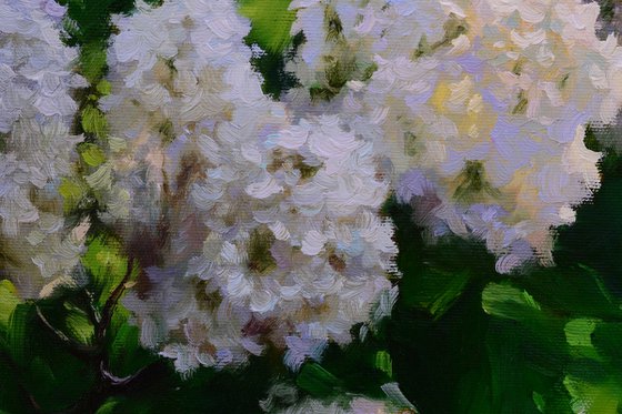 Flickering white lilac