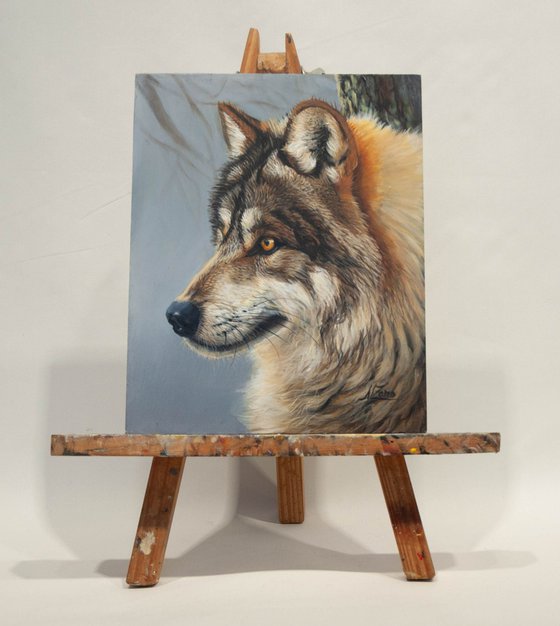 "Wild Gaze" — Grey Wolf Portrait
