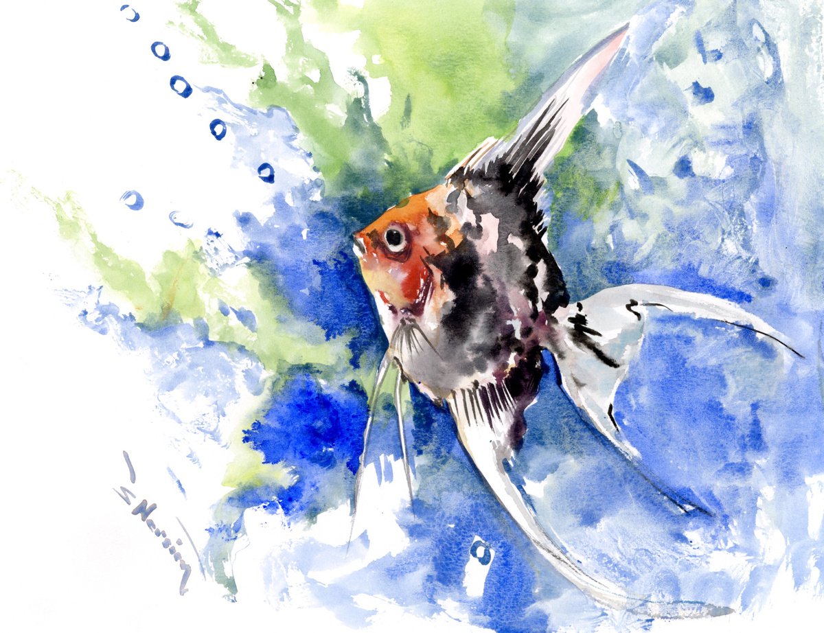 aquarium angelfish by Suren Nersisyan