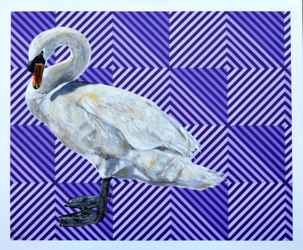 Animal Painting By Antonio Maggio Carluccio, 47 X 39, Swan 5, Original Artwork