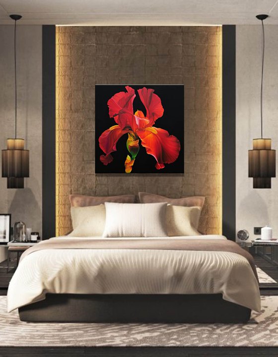 Portrait of Iris. Scarlet