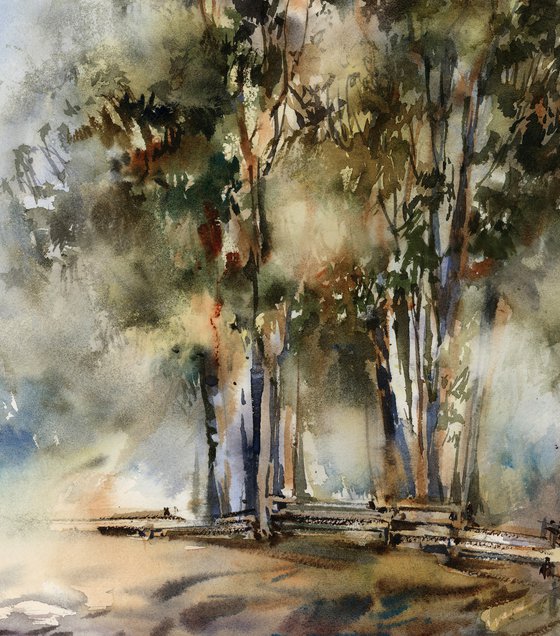 Landscape with Eucalyptus Trees