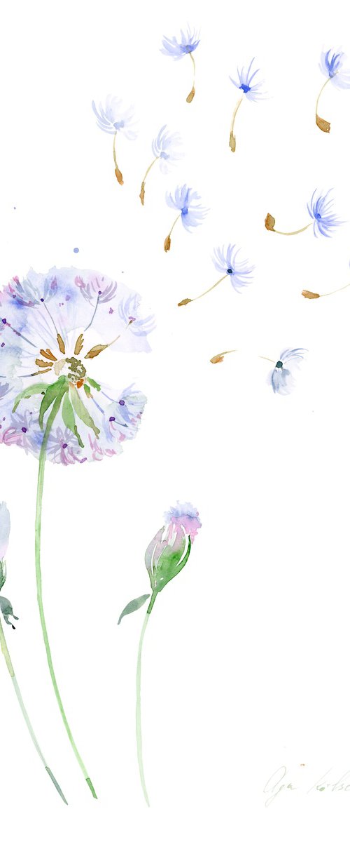 soft dandelion watercolor by Olga Koelsch