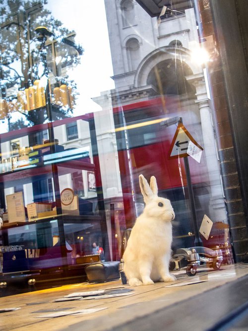 RABBIT'S DAY OUT IN LONDON!!! (LIMITED EDITION 5/50) 12" X 8" by Laura Fitzpatrick
