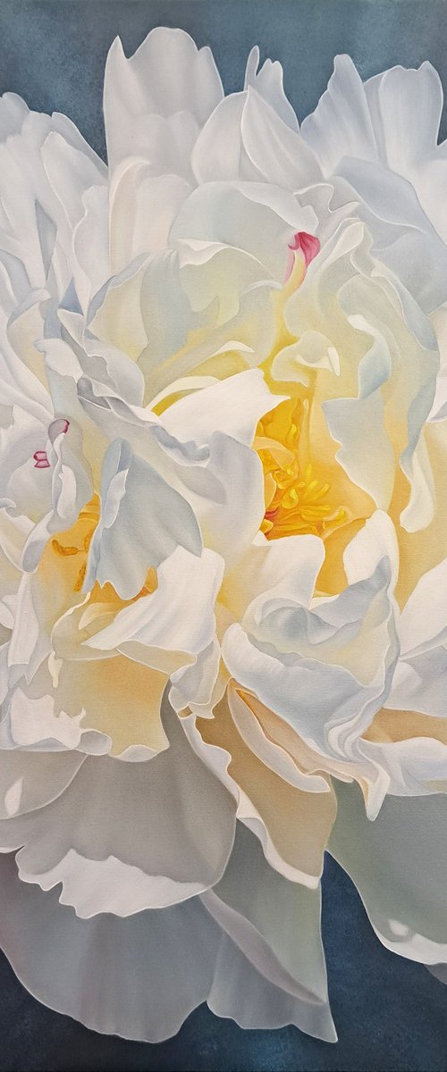 Snow-white peony by Anna Steshenko