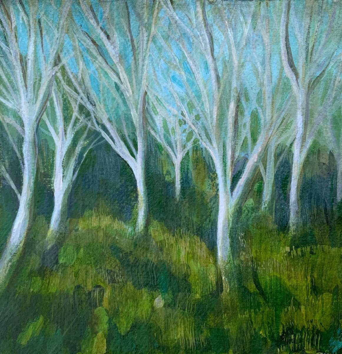 Silver Birch by Janice MacDougall