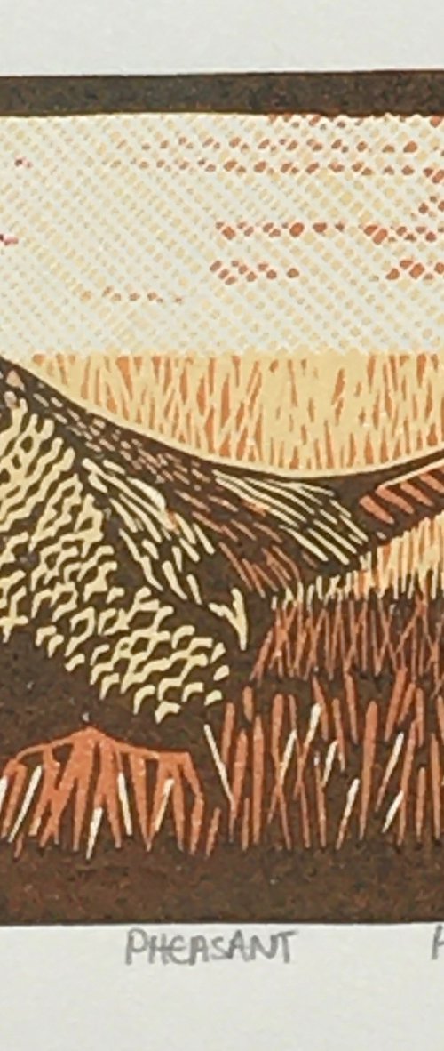 Pheasant by Helen Maxfield