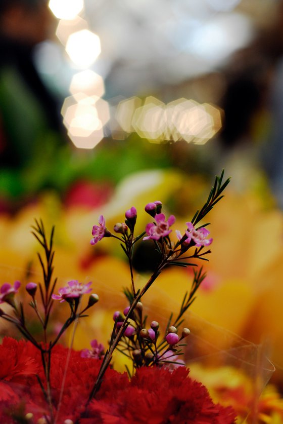 Floral Delight