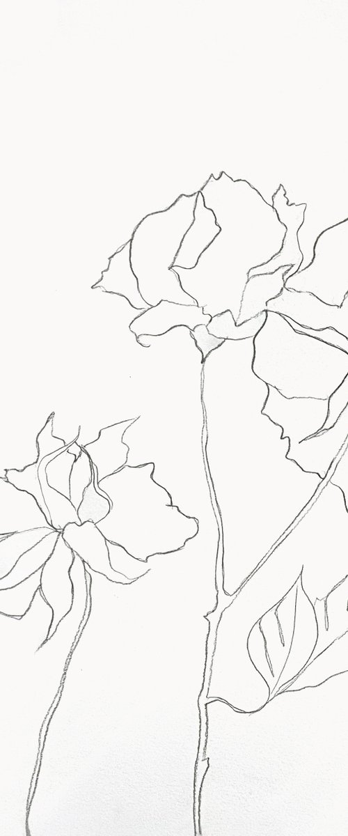 Rose Study No. 68 by Elizabeth Becker
