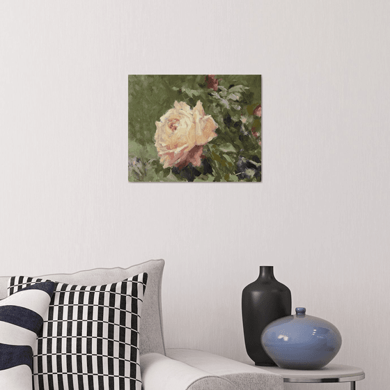 Study of a Peach Rose