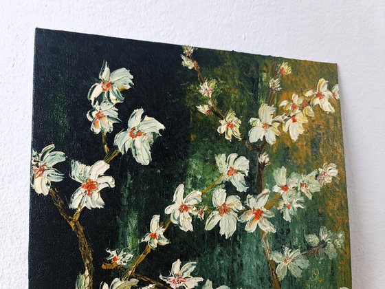 Cherries in bloom