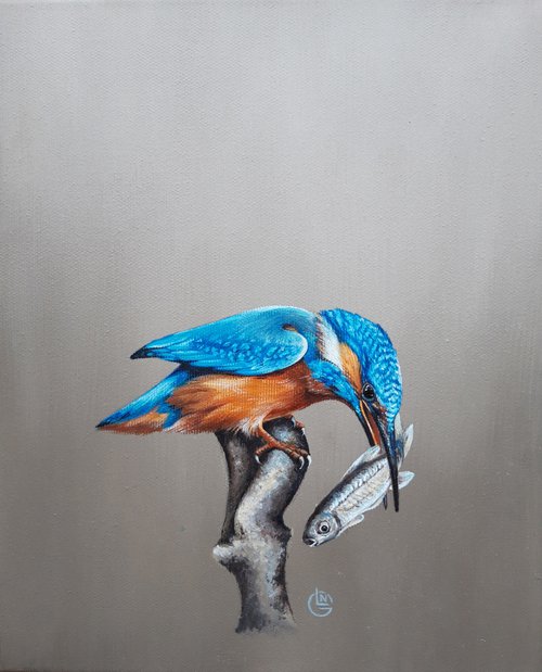 Kingfisher,bird,realistic picture,original artwork by Natalia Langenberg