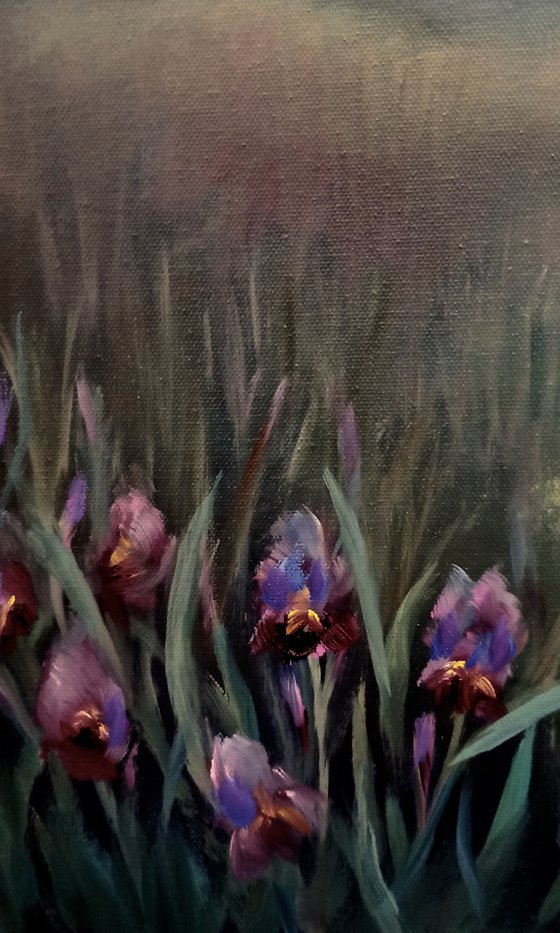 Elysian Willows