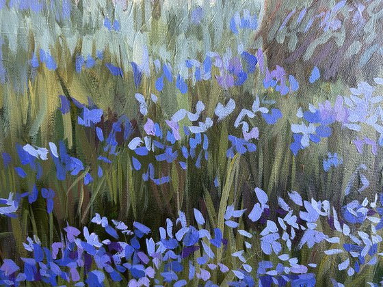 Springtime in the Woods II