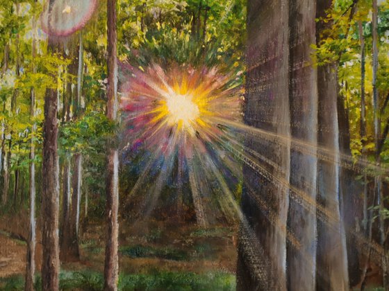 Sunlit Grove in Morning Light