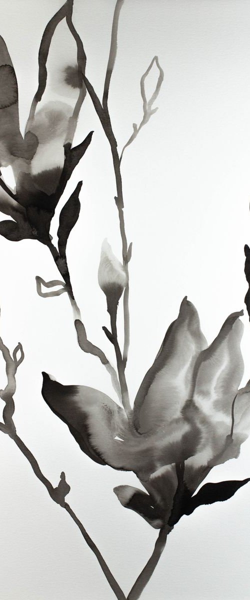 Magnolia No. 20 by Elizabeth Becker