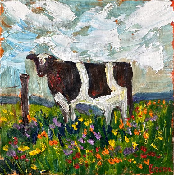 A cow in a field