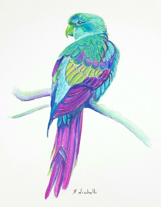 Tropical parrot 2