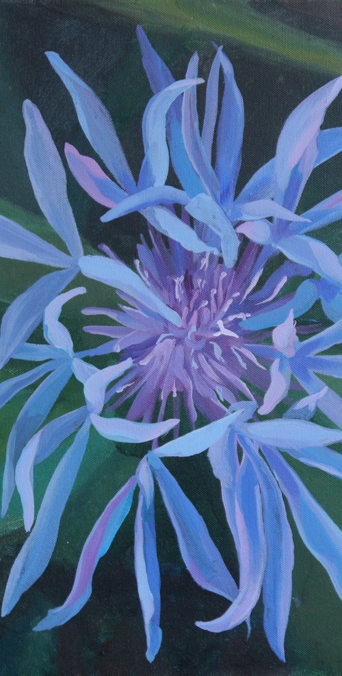 Blue Flower (De Wilde Bloem) by Anastasia Chernysheva