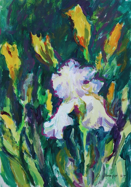 White iris, evening (plein air) original painting by Dima Braga