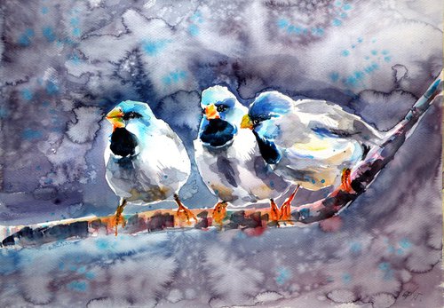 Talking birds - by Kovács Anna Brigitta