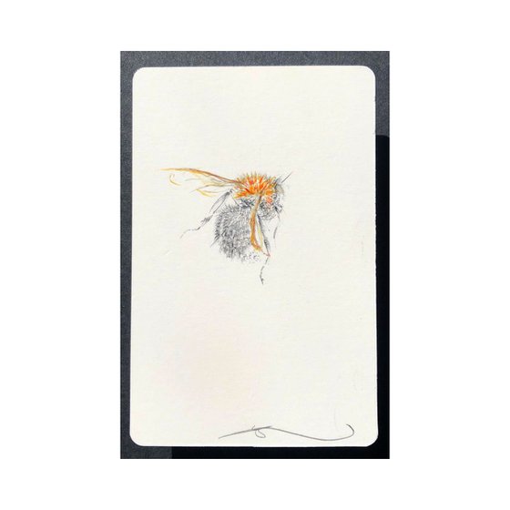 Bee Portrait on white playing card (Tree Bumblebee)