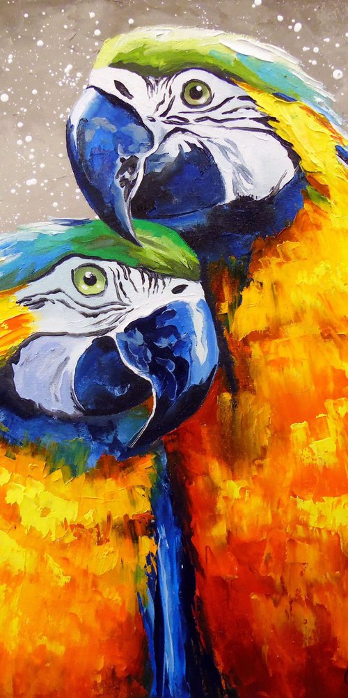 Parrots are lovers by Olha Darchuk