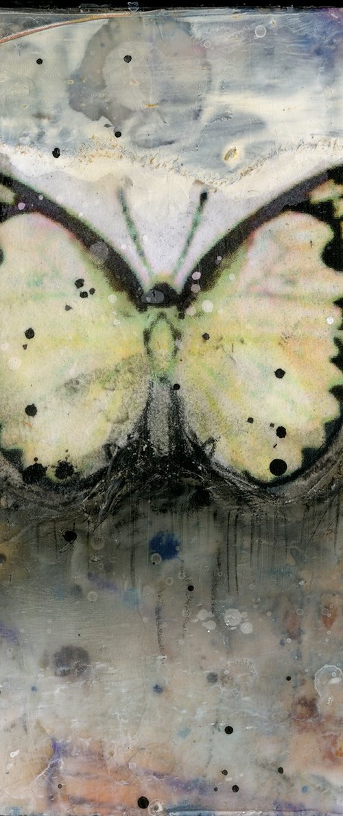 Butterfly Prayers 5 by Kathy Morton Stanion