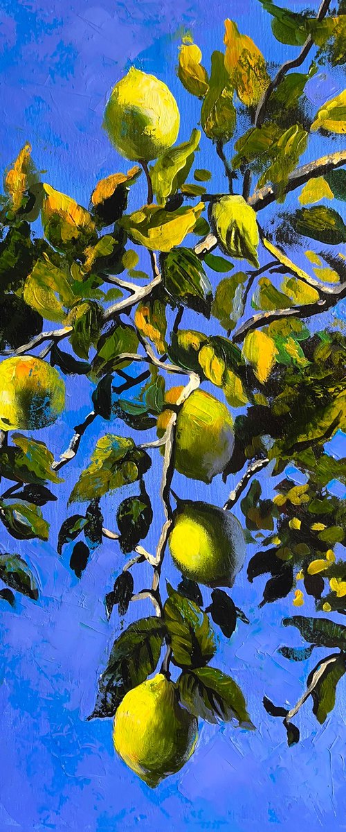 Lemons in the sky by Maria Kireev