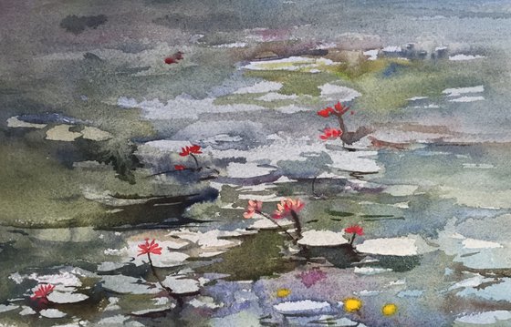 Lotus Pool