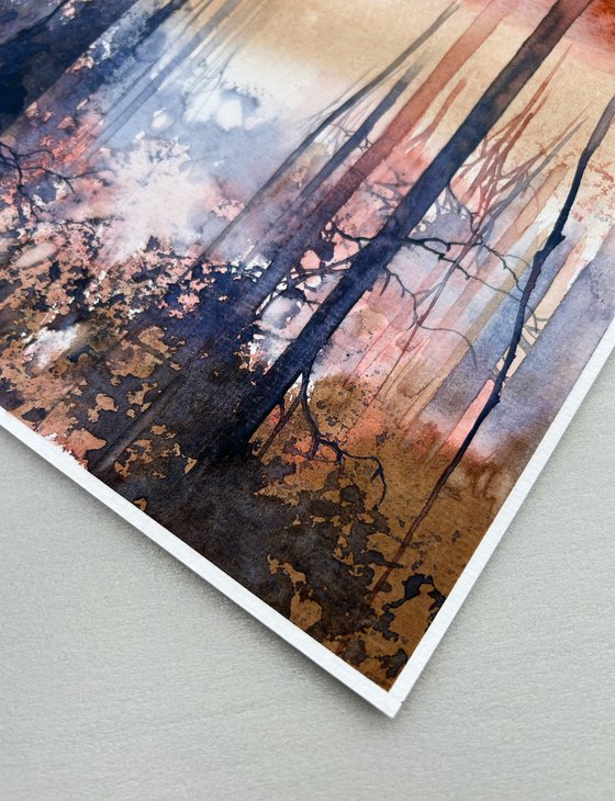 Autumn Forest