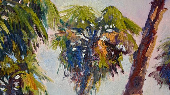 Palm Trees in California