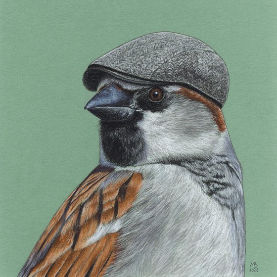 Original pastel drawing bird "House sparrow"