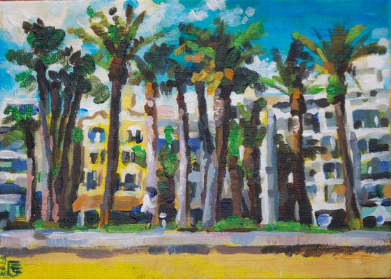 Mediterranean summer