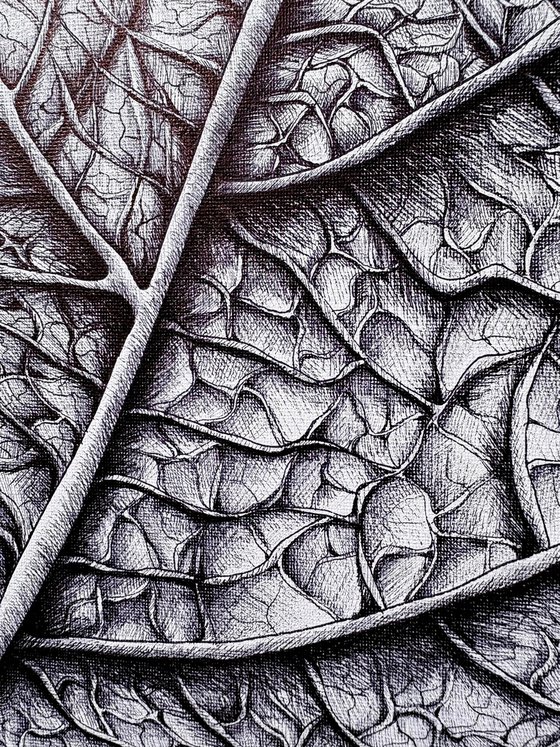THE SOUL OF A LEAF