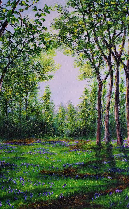 Bluebell Walk by Hazel Thomson