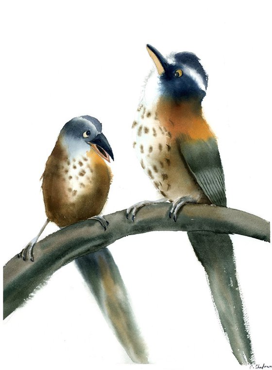 The chatting birds