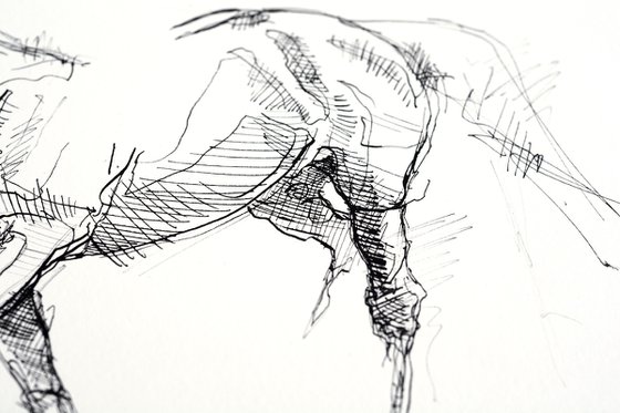 Equine Nude 28a