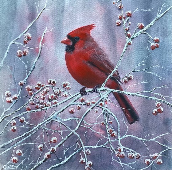 Northern Cardinal