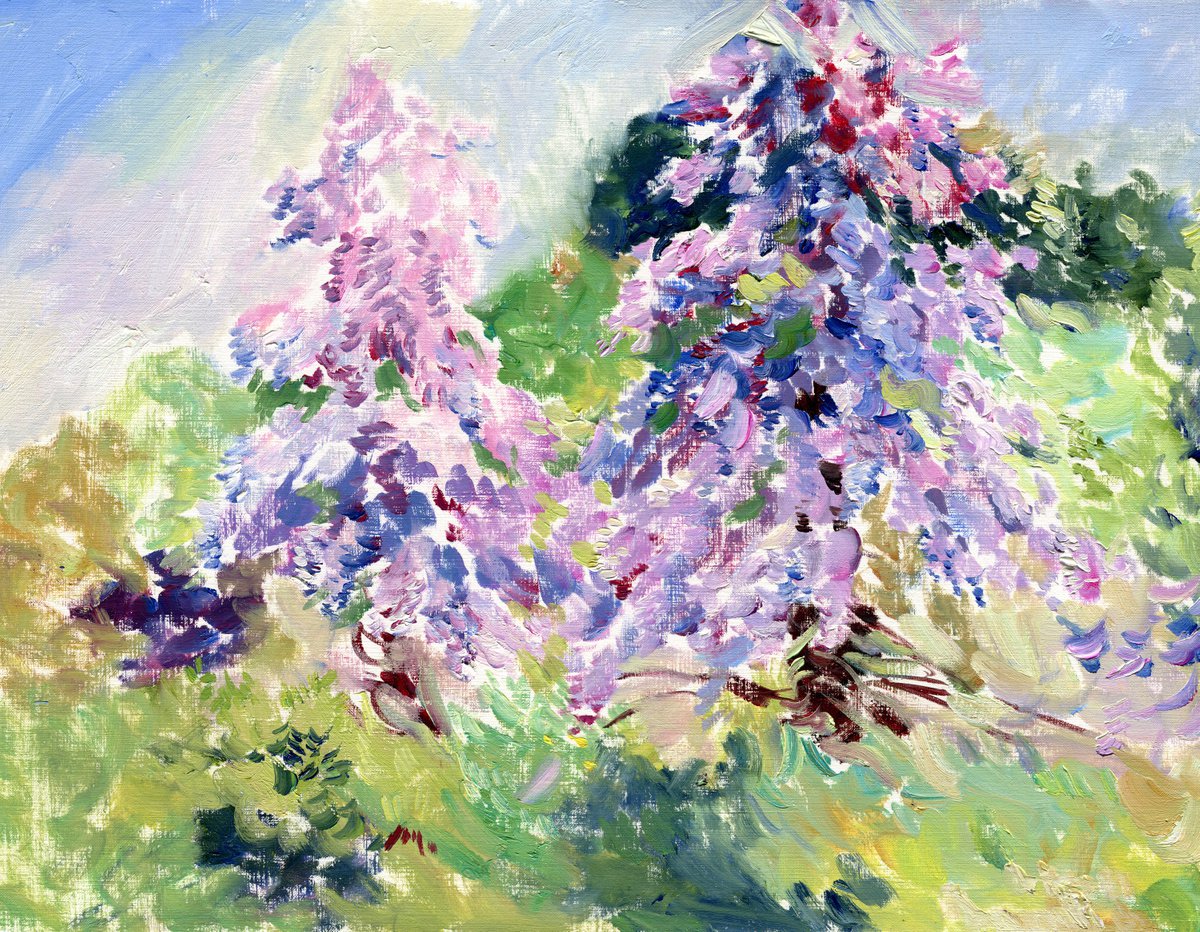 Impressionistic Botanical Oil Painting By Daria Galinski, 16 X 12, Wisteria Blossom, Original Artwork