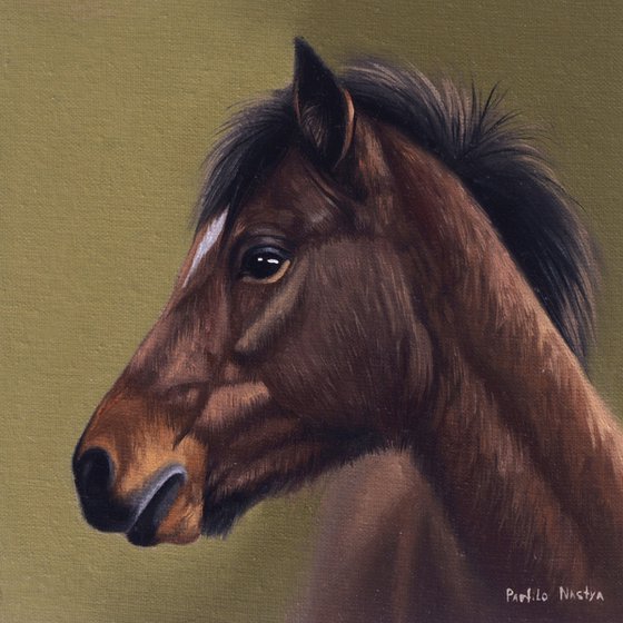 Horse Portrait 29