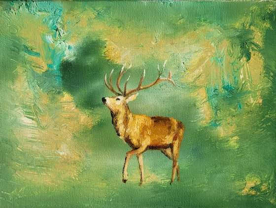 Deer in the forest