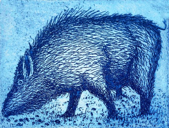 Boar in Clover