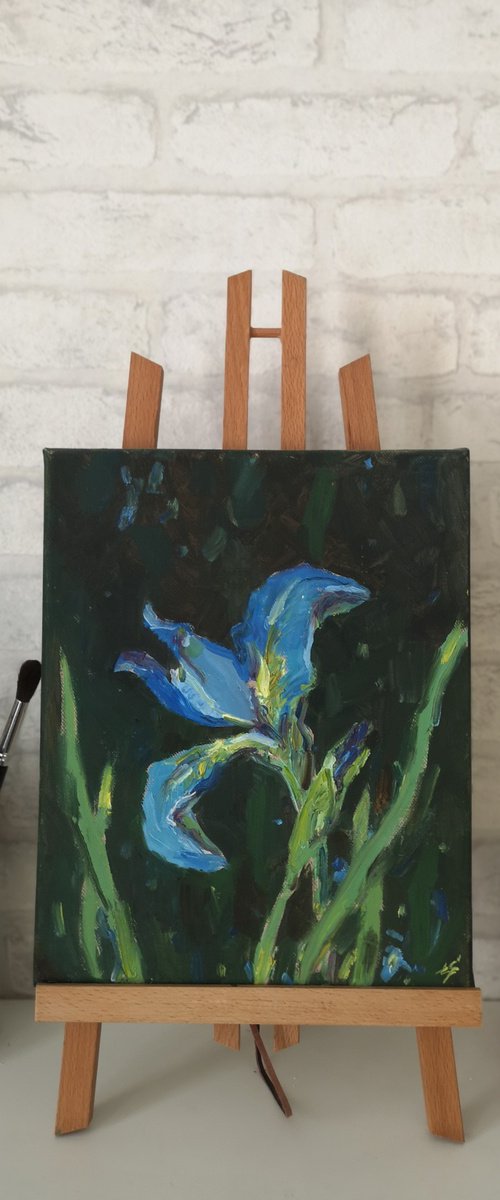 Blue iris by Elena Sanina