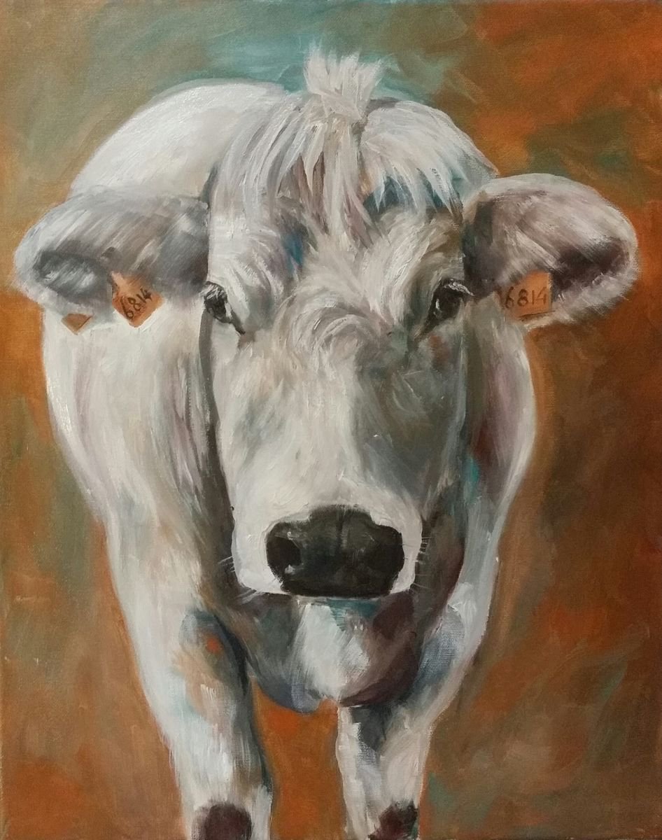 Impressionistic Animal Oil Painting By Els Driesen, 16 X 20, Belgian White Bleu, Original Artwork