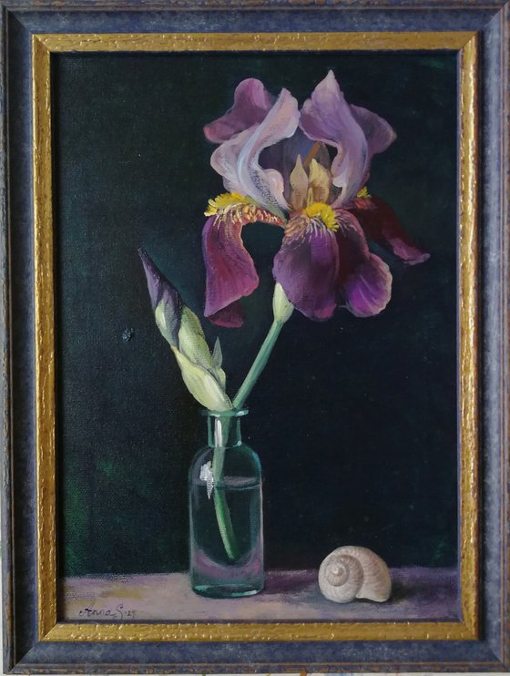 “Still life with Iris”