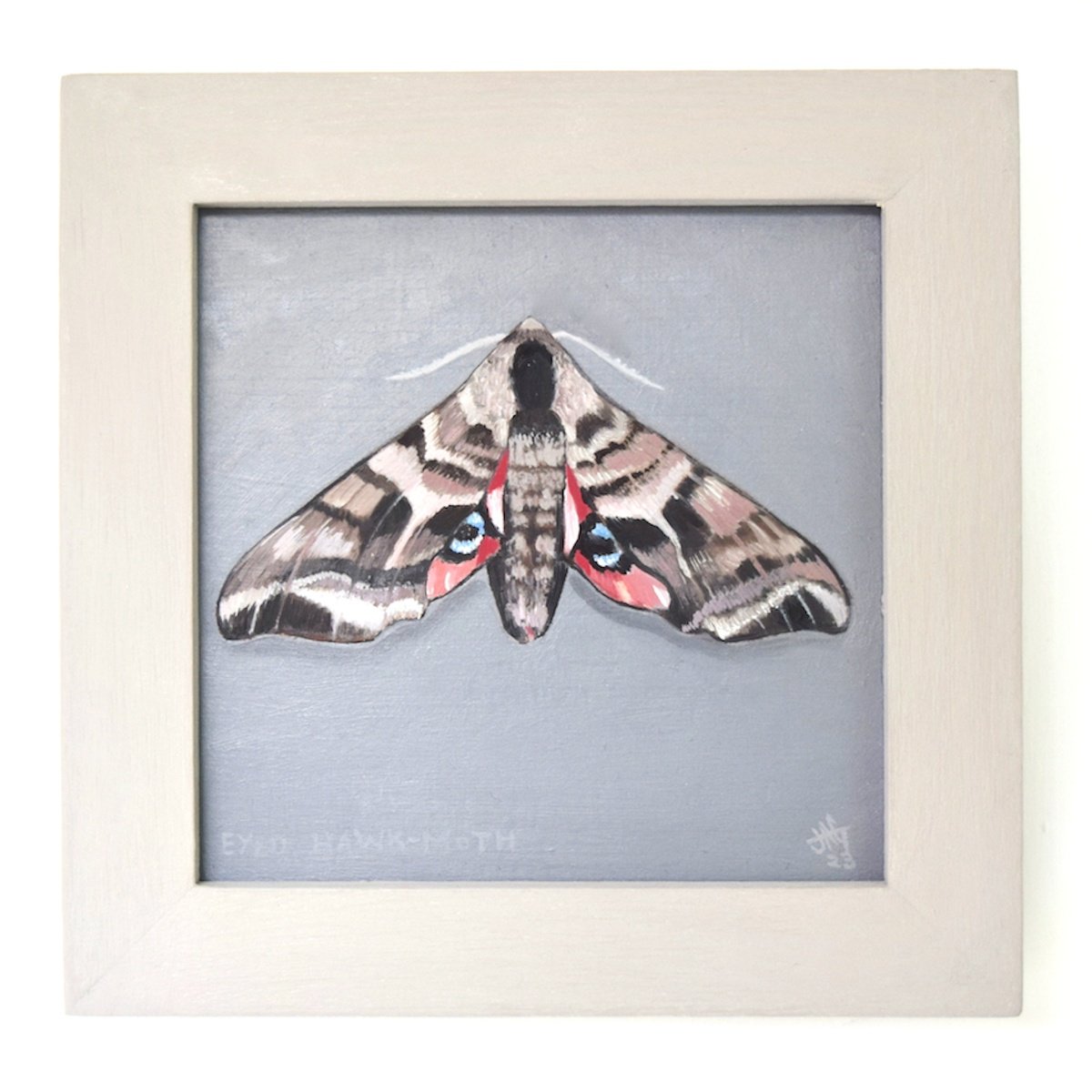 Eyed Hawk Moth by Jem Gooding