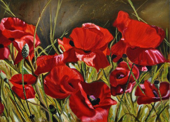 Poppies, Original Oil Painting